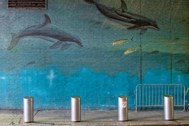 A photo of a dolphin mural